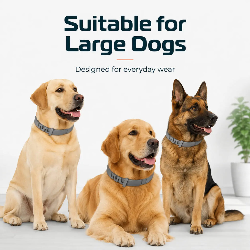 Gainstarx Adjustable Dog Collar with Fresh Scent Comfortable Lightweight Pet Collar for Large Dogs over 18 Lbs Everyday Wear for Walks and Outdoor Use
