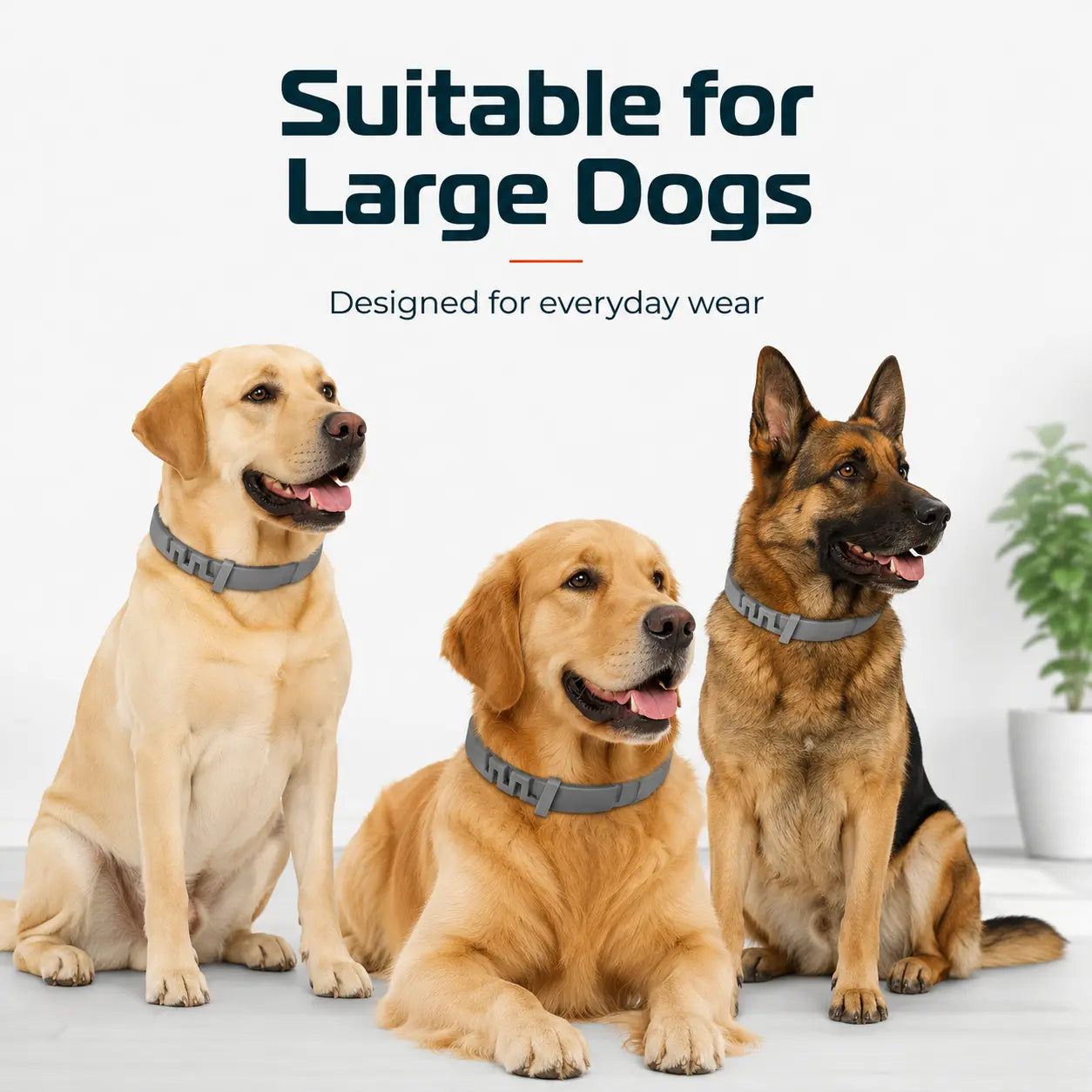 Gainstarx Adjustable Dog Collar with Fresh Scent Comfortable Lightweight Pet Collar for Large Dogs over 18 Lbs Everyday Wear for Walks and Outdoor Use