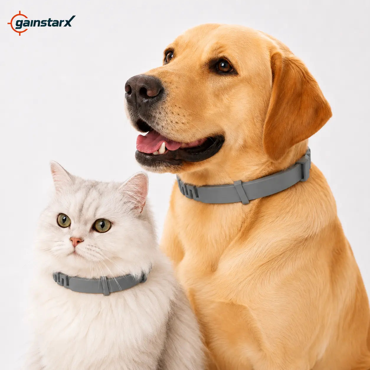 Gainstarx Adjustable Dog Collar with Fresh Scent Comfortable Lightweight Pet Collar for Large Dogs over 18 Lbs Everyday Wear for Walks and Outdoor Use
